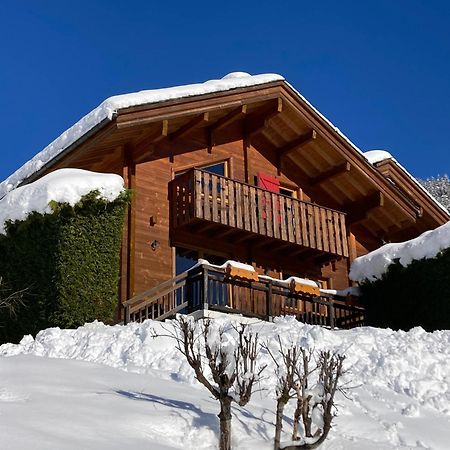 Chalets Du Danay Lachat Saint-Jean-de-Sixt Buitenkant foto